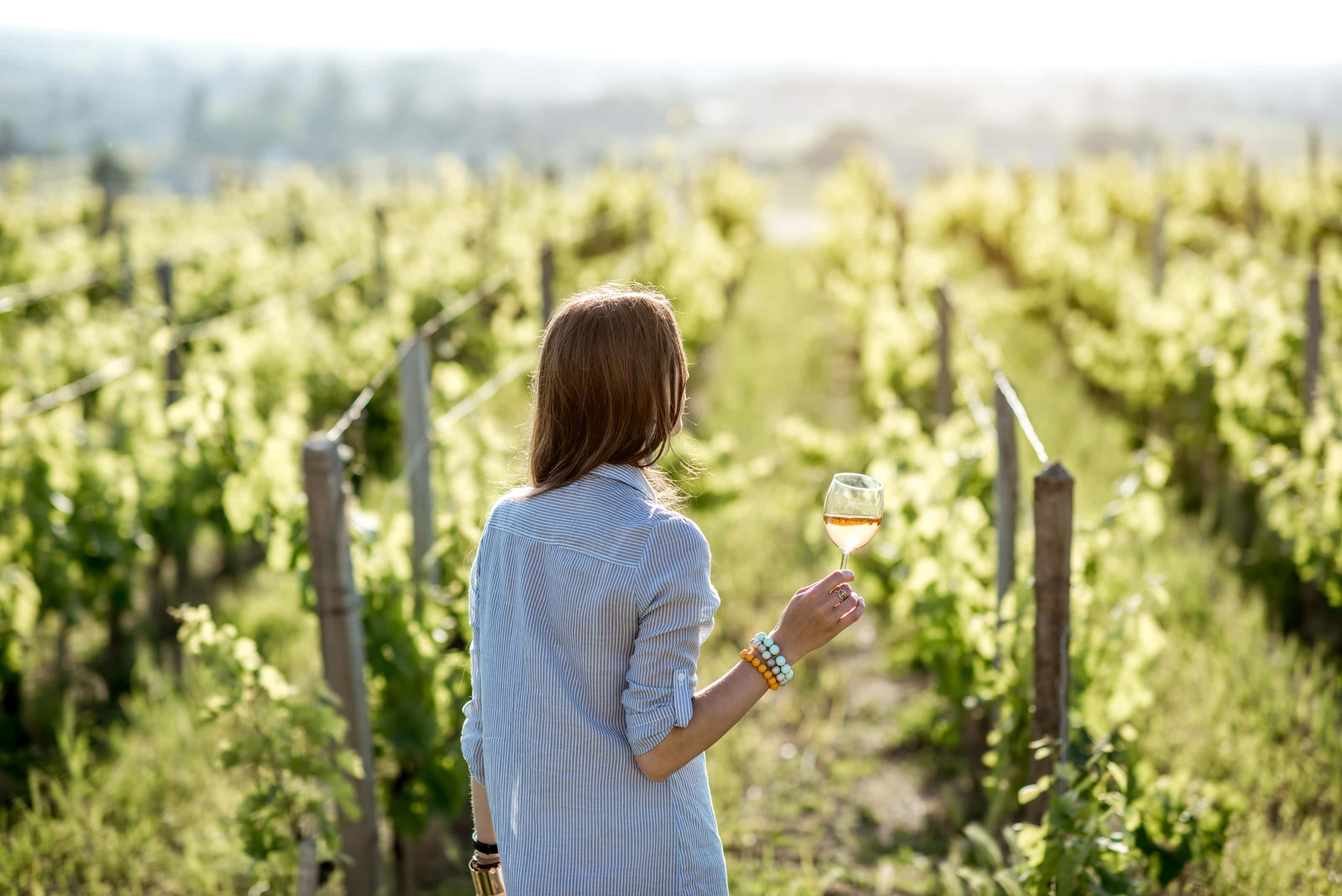 Woman holding a glass of white wine while walking through a sunlit vineyard in summer.