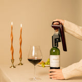 Timeless Six Wine Exploration Bundle